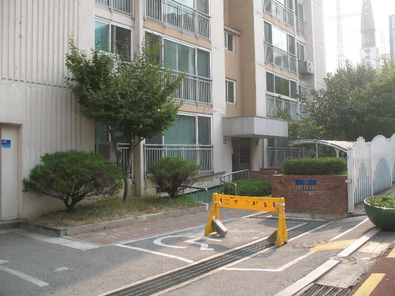 사진 233