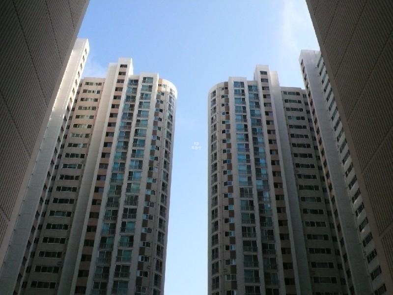P1010008