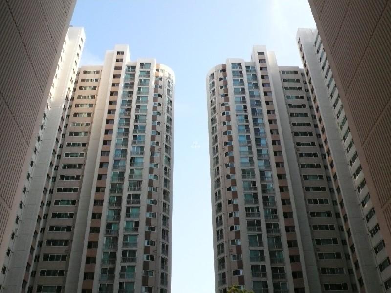 P1010009