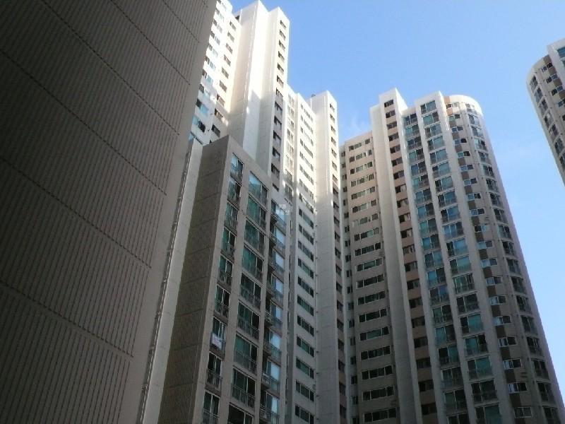 P1010010