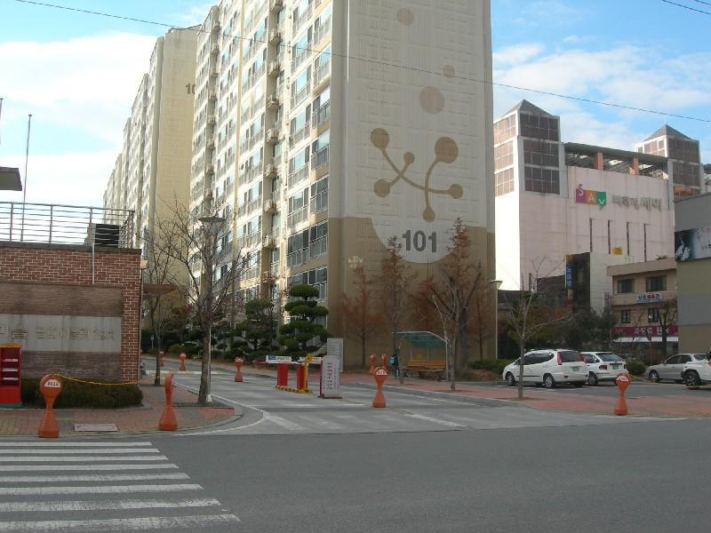 DSCN2453