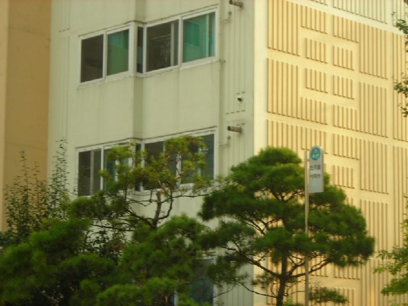 DSCN4683