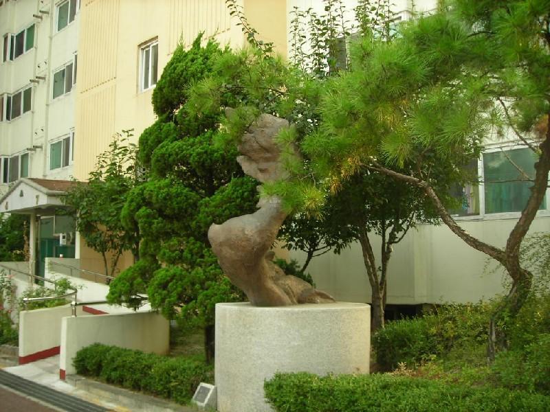 DSCN4689