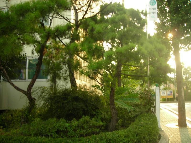 DSCN4691