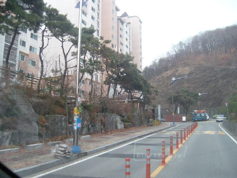사진 175