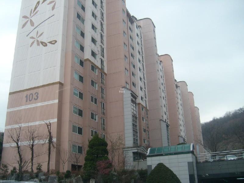 사진 182