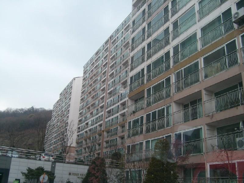 사진 184