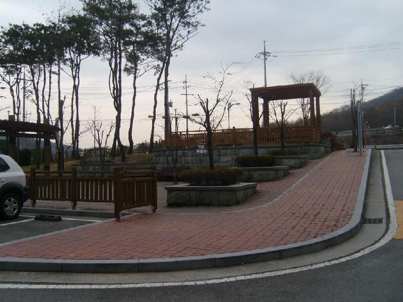 사진 185