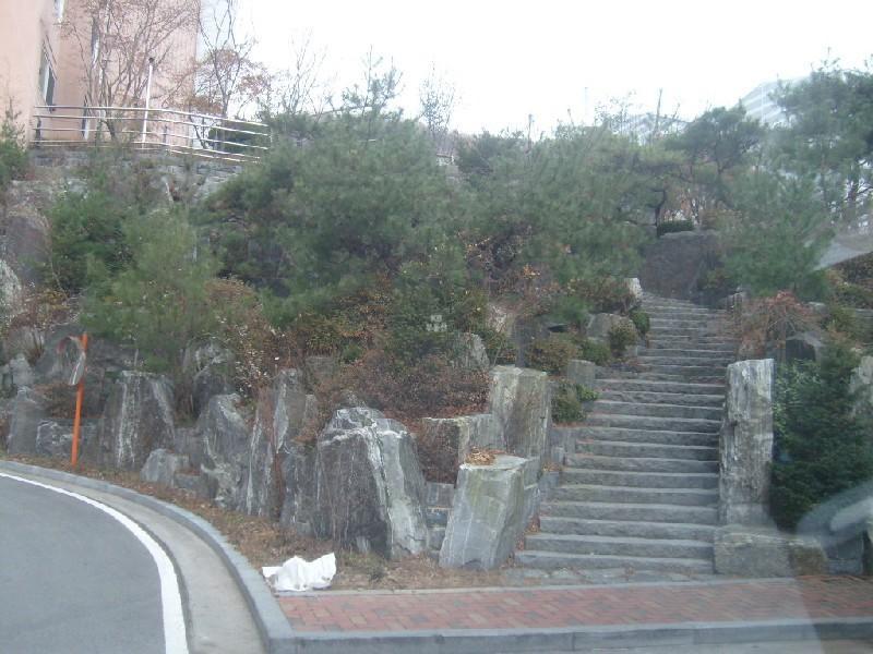 사진 188