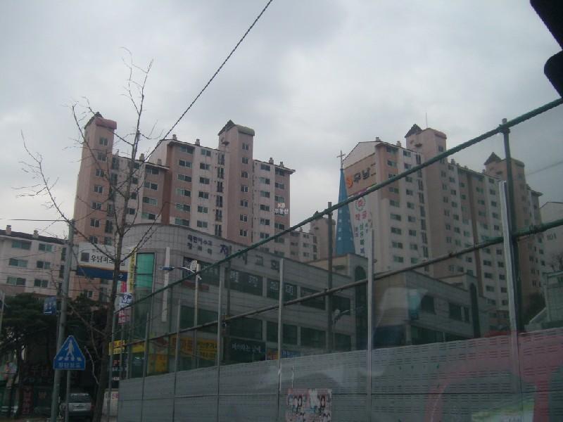 사진 174