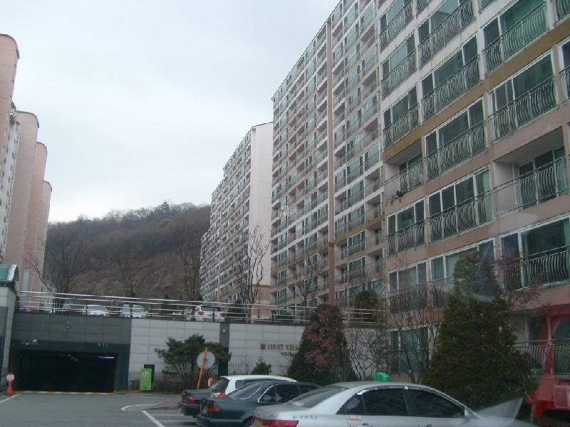 사진 183