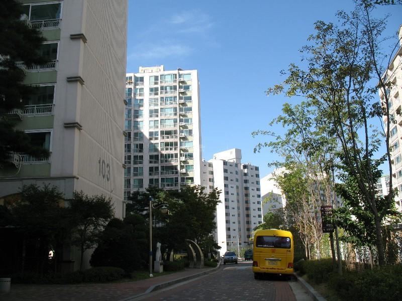 사진 054