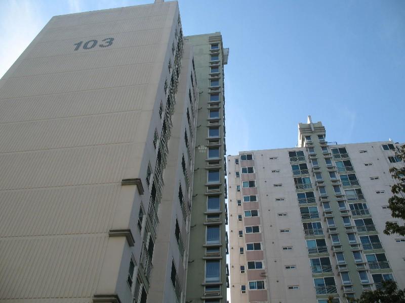 사진 056