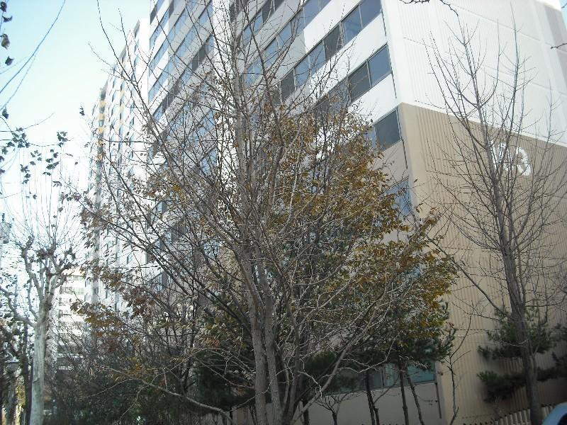 DSCF0866