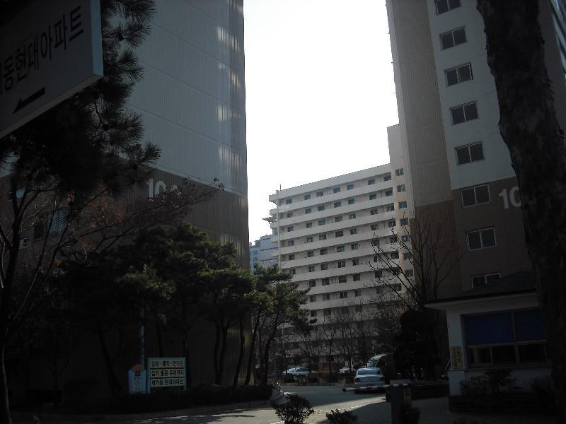 DSCF0877