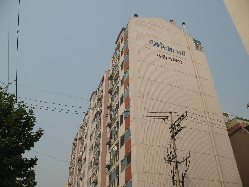 사진 590