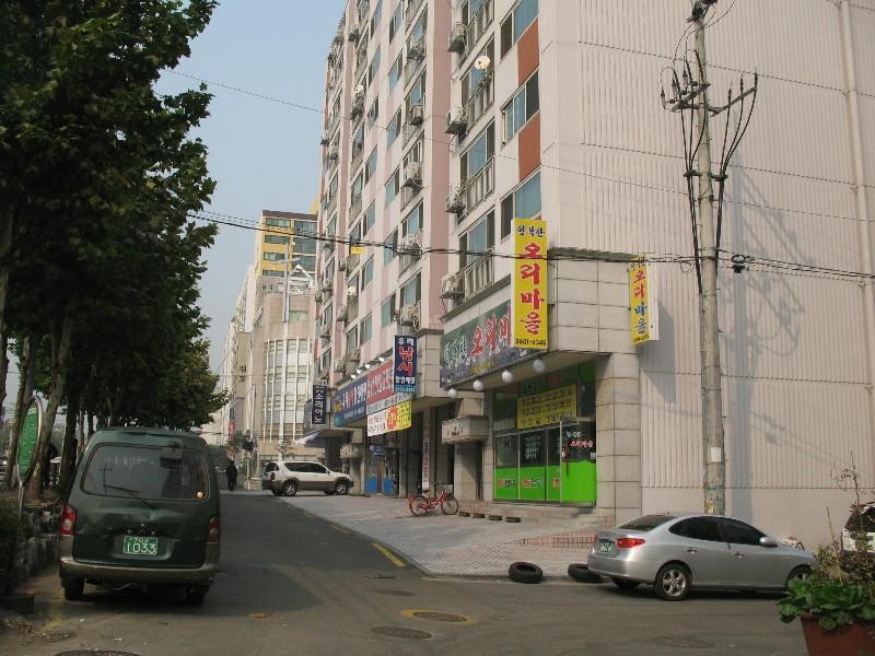 사진 591