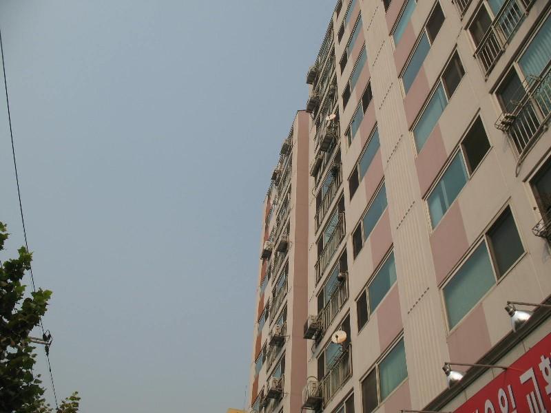 사진 594