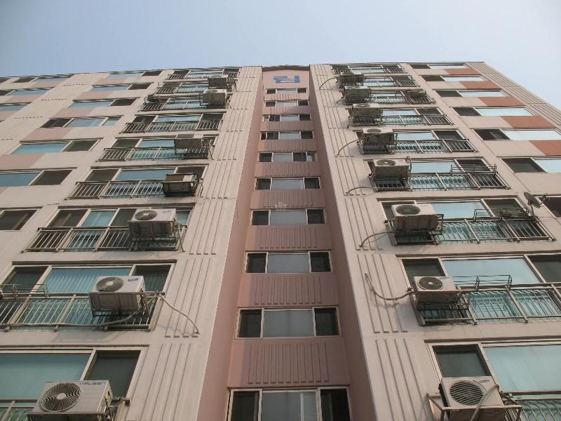 사진 595