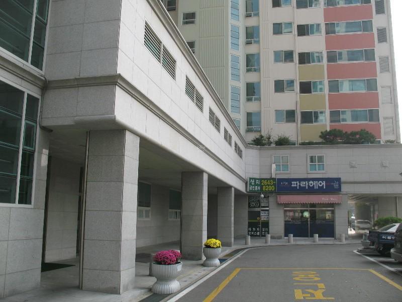 사진 351