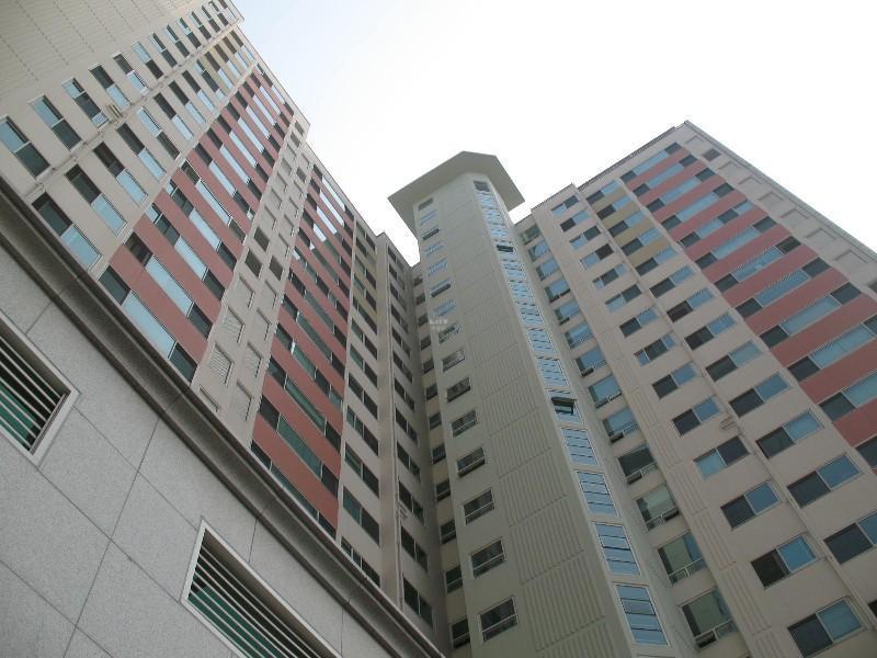 사진 353