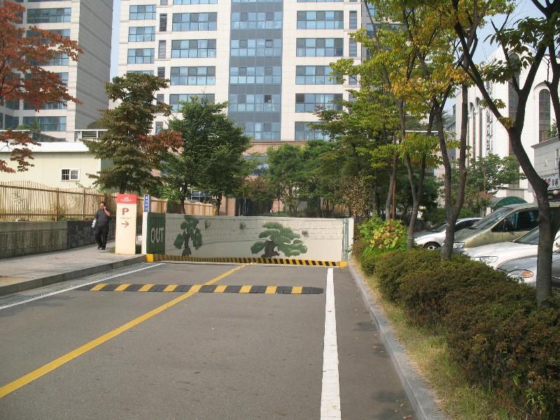사진 355