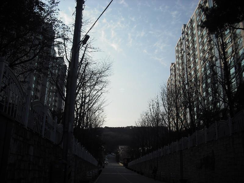 DSCF1180