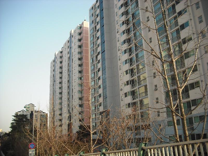 DSCF1185