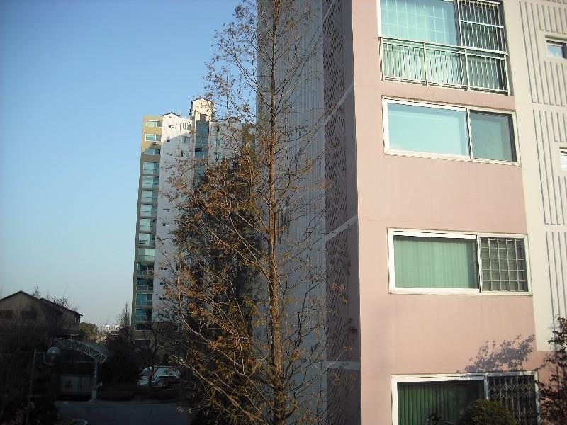 DSCF1192