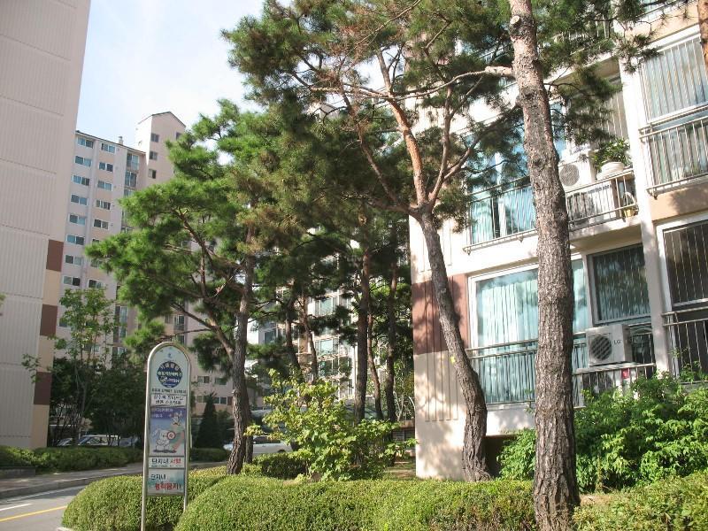 사진 103