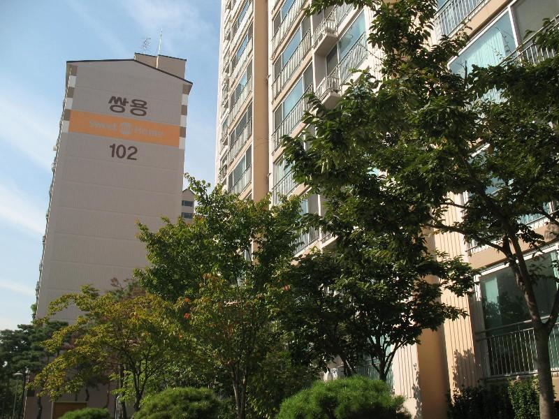 사진 099