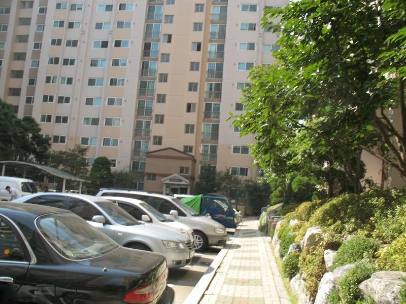 사진 109