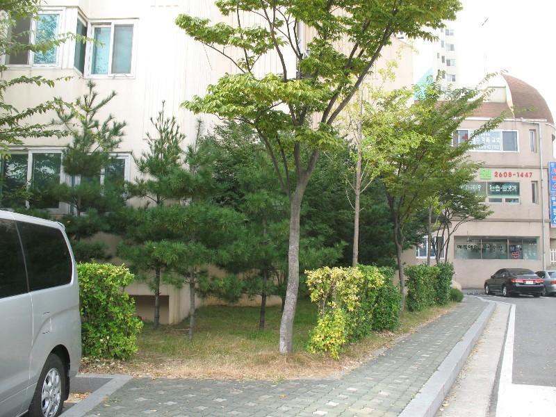 사진 099