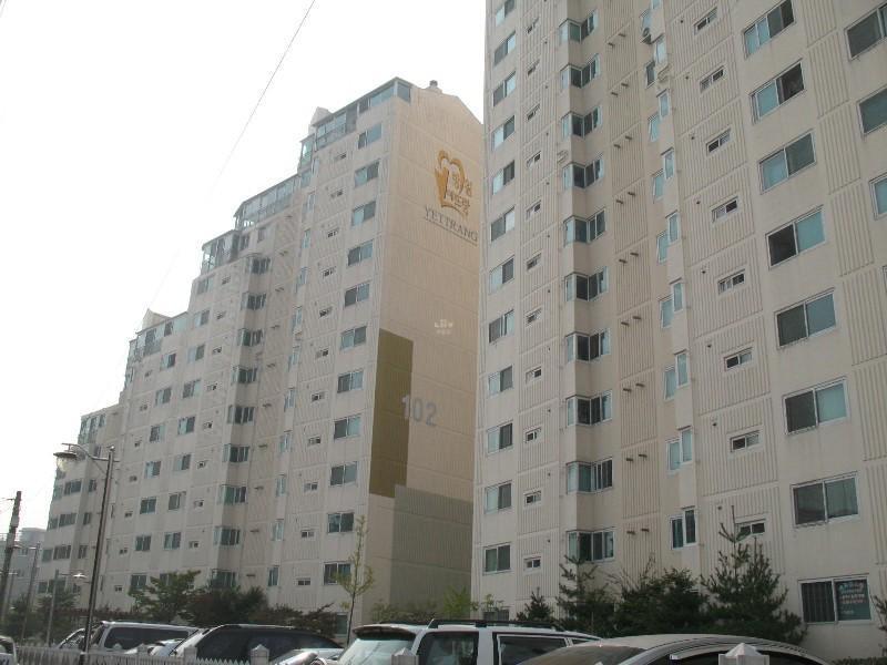 사진 095