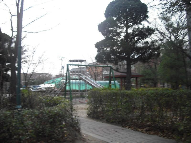 DSCF1343