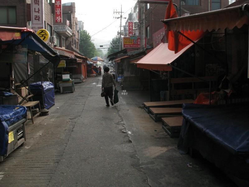 사진 049
