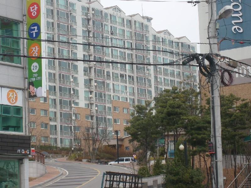 사진 125