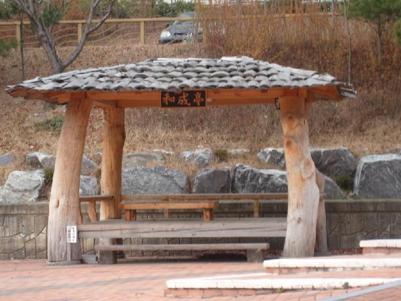 사진 126