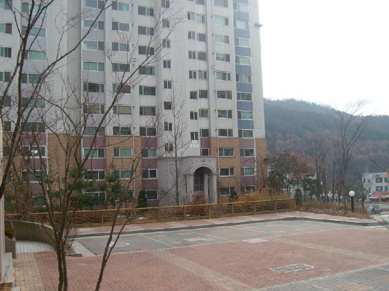 사진 132
