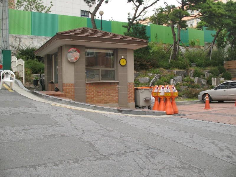 사진 523