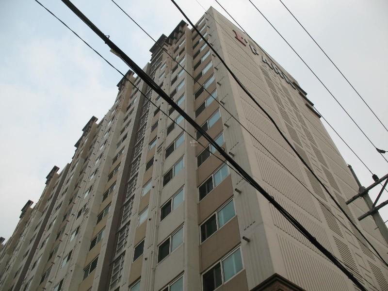 사진 525