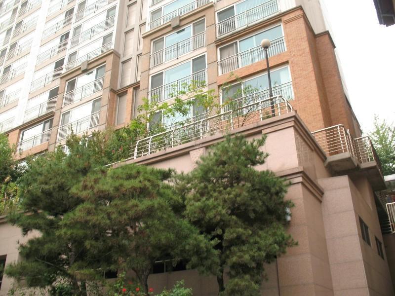 사진 528