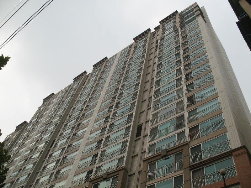 사진 530