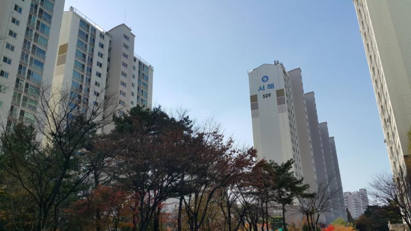 509동 모습입니다