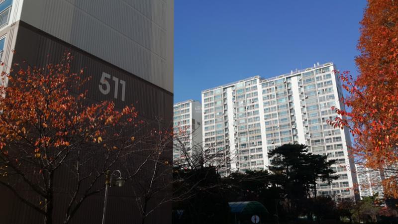 511동 전경 입니다
