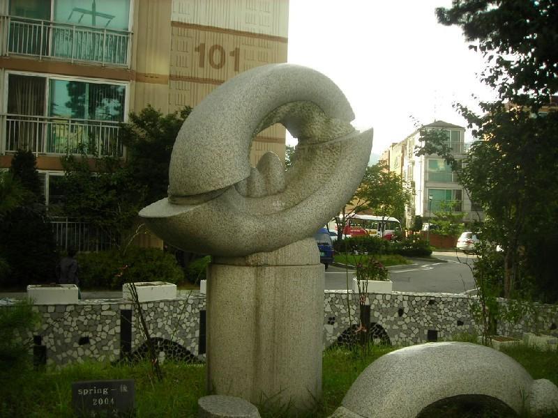 DSCN5384