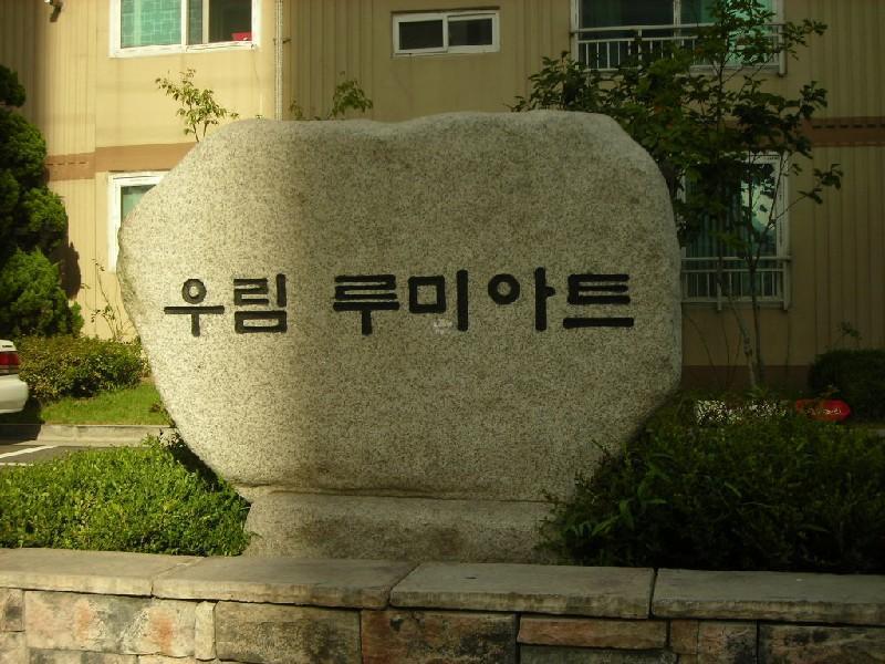 DSCN5387