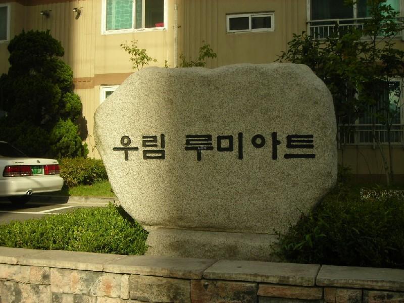 DSCN5388