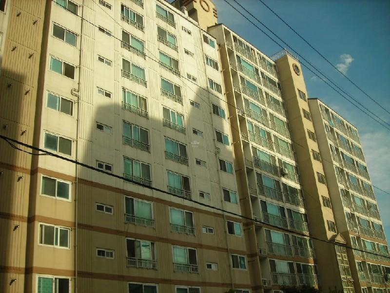 DSCN5381