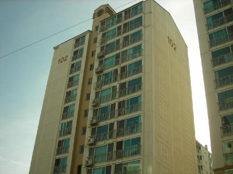 DSCN5391
